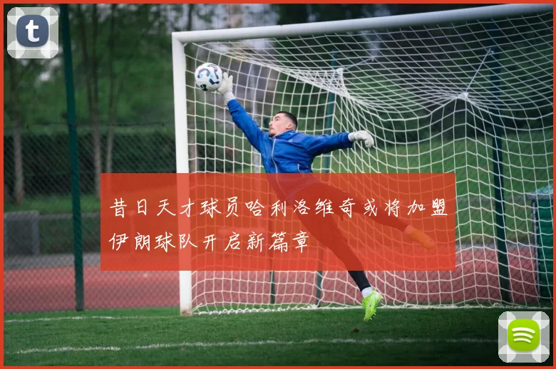 昔日天才球员哈利洛维奇或将加盟伊朗球队开启新篇章